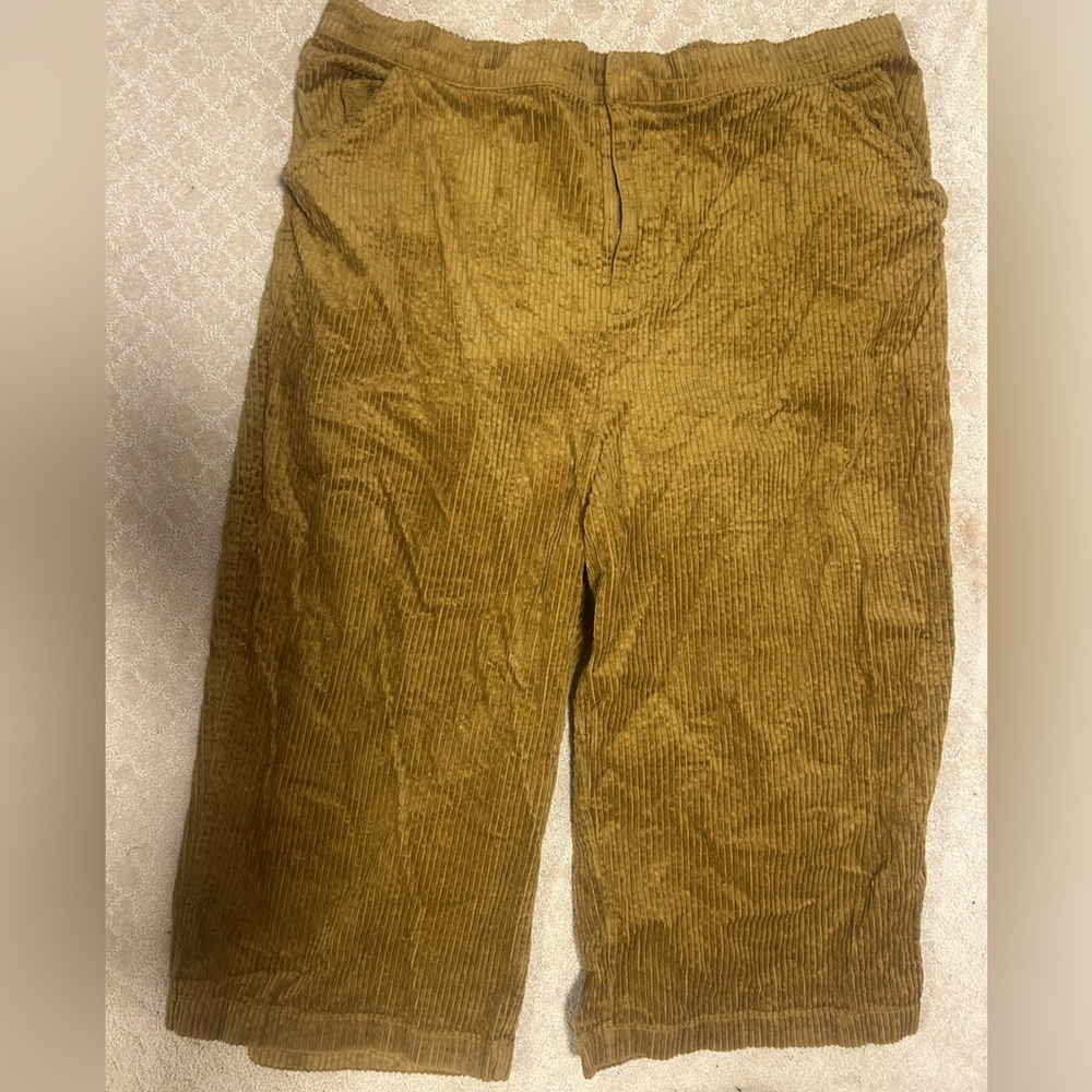 Dark Mustard Lucy & Yak Cords